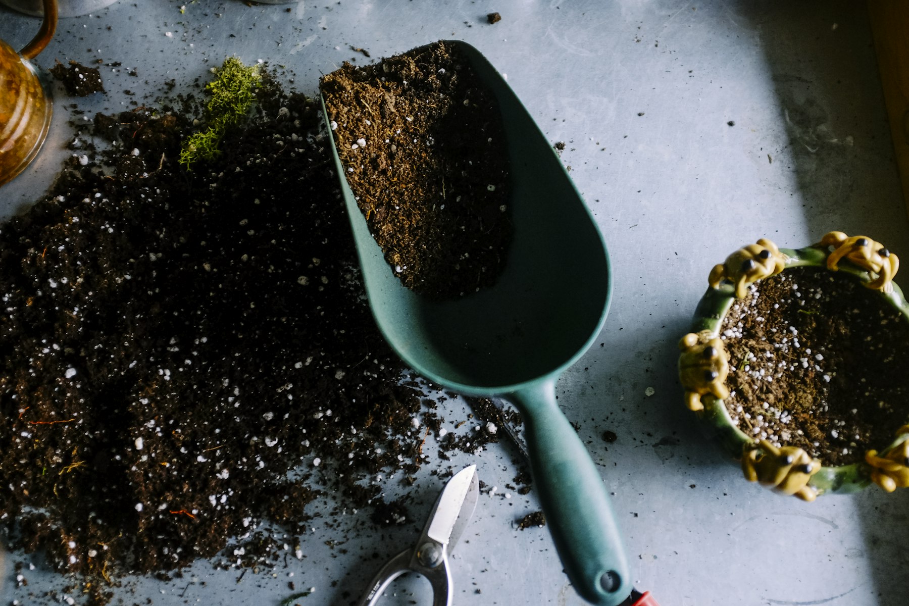 Potager biologique
